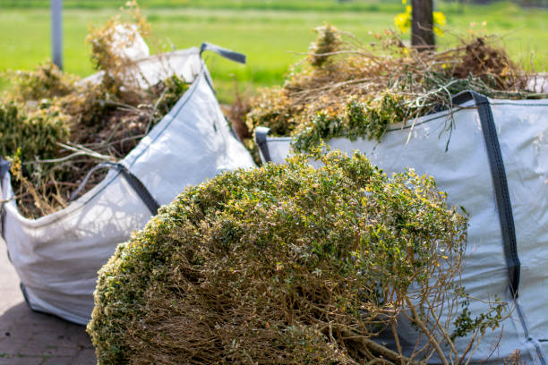 Best Local Junk Hauling  in Blue Grass, IA